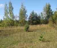 Новгородская область, Старорусский район Участок №12
