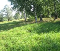 Новгородская область, Старорусский район Участок №14