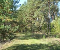 Новгородская область, Старорусский район Участок №16