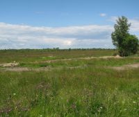 Новгородская область, Старорусский район, д. Малая Козона Участок №34