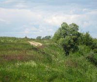 Новгородская область, Старорусский район Участок №42