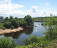 Новгородская область, Старорусский район, д. Малая Козона Участок №49