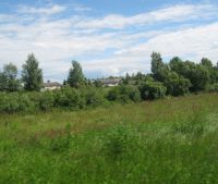 Новгородская область, Старорусский район, д. Малая Козона Участок №50