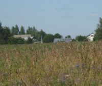 Новгородская область, Старорусский район, д. Кондратово Участок №53