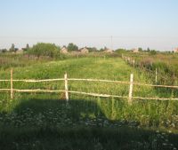 Новгородская область, Старорусский район, д. Малая Козона Участок №55
