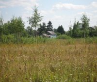 Новгородская область, Старорусский район, д. Малая Козона Участок №57