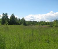 Новгородская область, Старорусский район Участок №101
