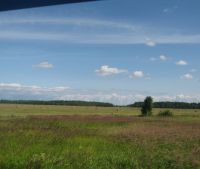 Новгородская область, Старорусский район Участок №102