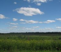 Новгородская область, Старорусский район Участок №123