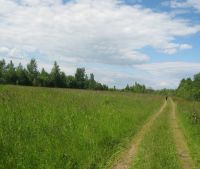 Новгородская область, Старорусский район Участок №124