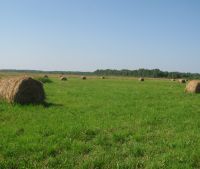 Новгородская область, Старорусский район Участок №131