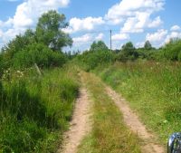 Новгородская область, Старорусский район Участок №147