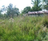 Новгородская область, Старорусский район Участок №157