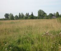Новгородская область, Старорусский район, д. Ивановское Участок №162