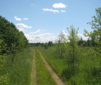 Новгородская область, Старорусский район, д. Малая Козона, Москва - Санкт-Петербург (М10) Участок №174