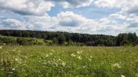 Купить участок в деревне